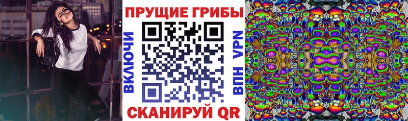 Псилоцибиновые грибы Magic Shrooms  гидра ONION  даркнет состав  Советский 
